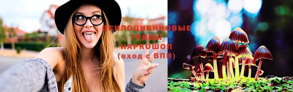 apvp Балахна