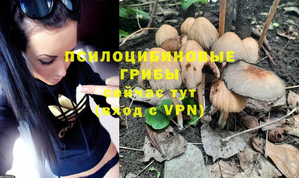 трава Сосновка