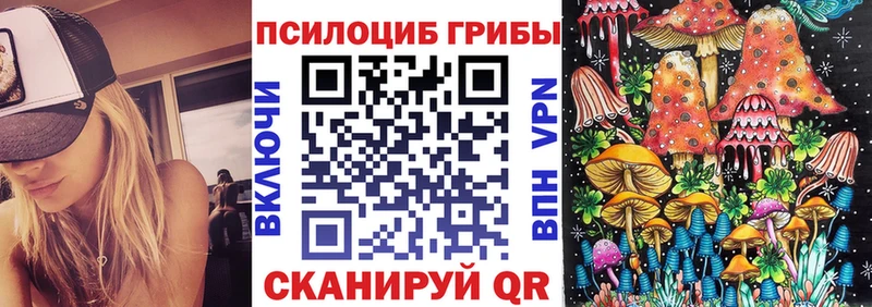 где можно купить   Новосиль  Псилоцибиновые грибы Cubensis 